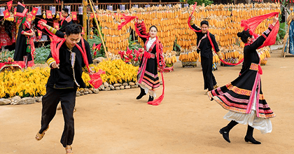 Cultural Activities in School: Definition, Importance, Examples